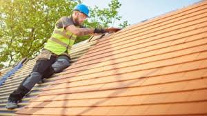 Best Rubber Roofing (EPDM, TPO)  in Long Grove, IA