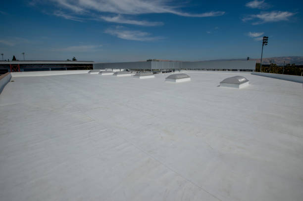 Best Steel Roofing  in Long Grove, IA