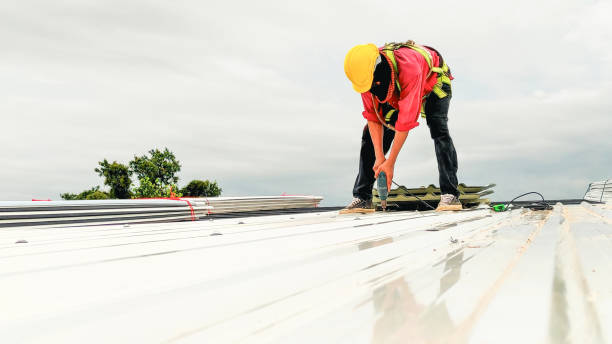 Best Roof Insulation Installation  in Long Grove, IA